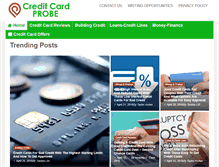 Tablet Screenshot of creditcardprobe.com